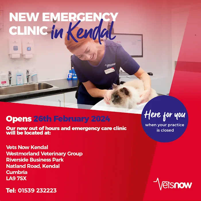 Vets Now Kendal Picture 5