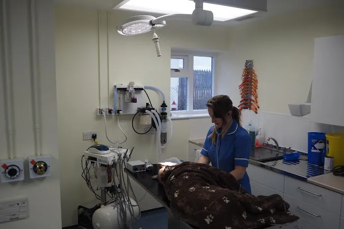 Highgate Vets Picture 8