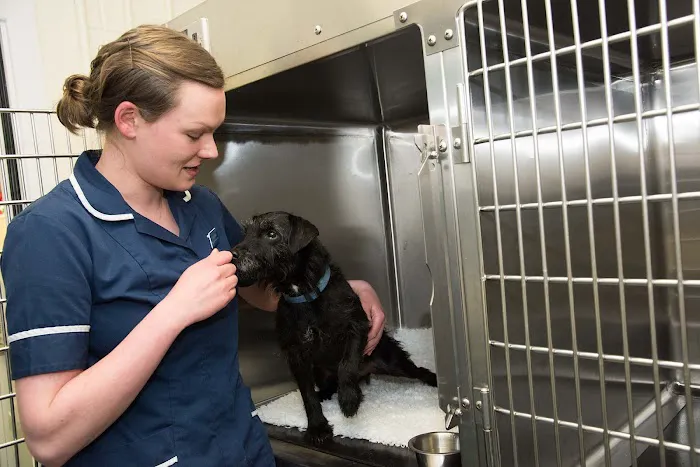 Highgate Veterinary Clinic Picture 7