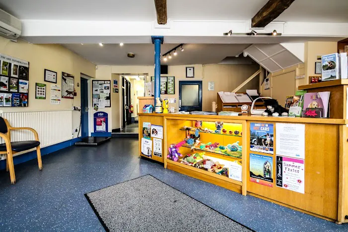Highgate Veterinary Clinic Picture 10