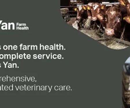 Yan Farm Health