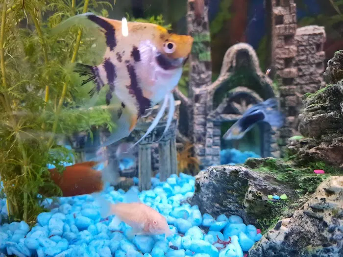 Reef & River Aquarium Picture 9