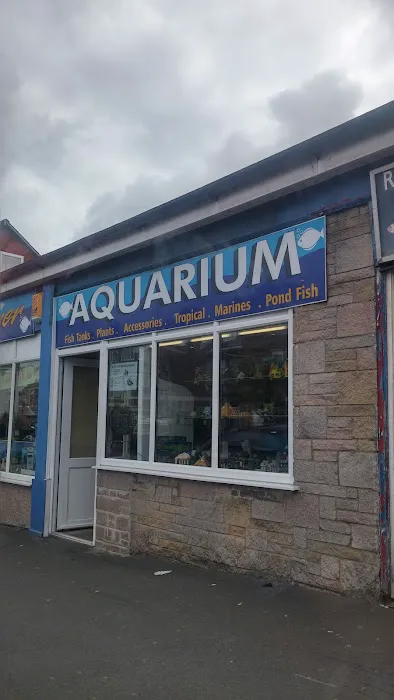 Reef & River Aquarium Picture 2