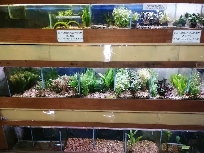 Reef & River Aquarium Picture 8