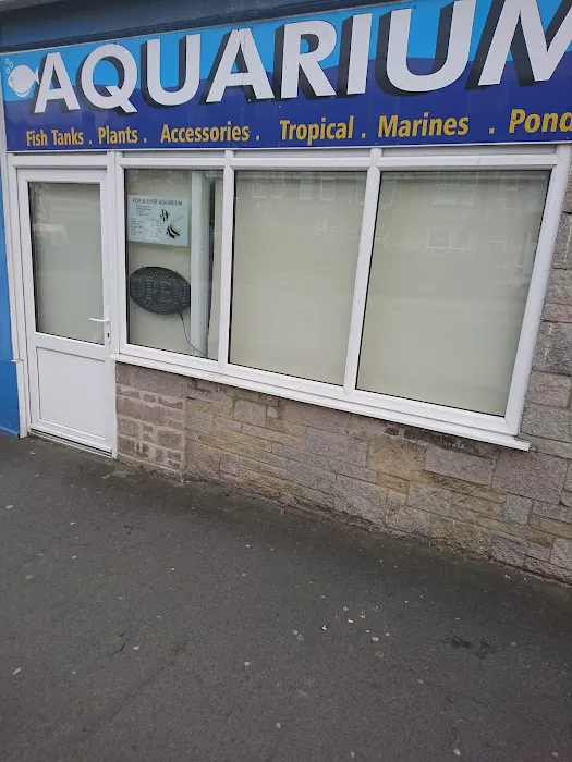 Reef & River Aquarium Picture 1