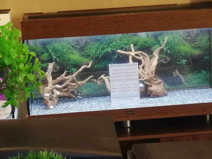 Reef & River Aquarium Picture 3