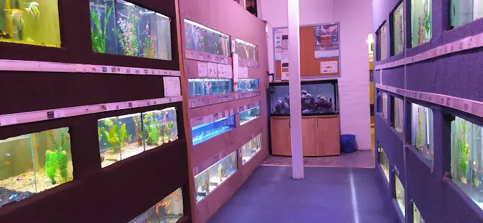 Reef & River Aquarium Picture 5