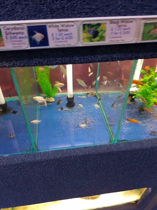 Reef & River Aquarium Picture 10