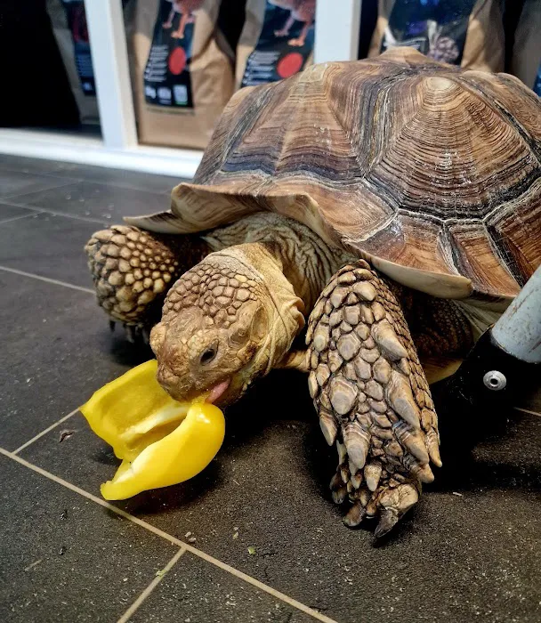 A.J. Exotics & Pet Supplies Picture 10