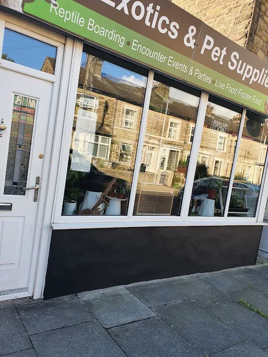 A.J. Exotics & Pet Supplies Picture 3