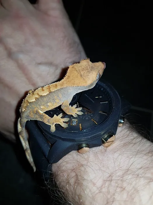 A.J. Exotics & Pet Supplies Picture 5