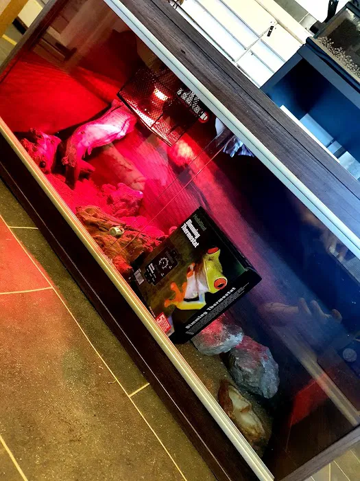 A.J. Exotics & Pet Supplies Picture 2