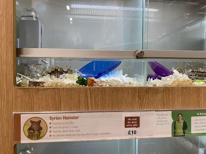 Pets at Home Lancaster Picture 6