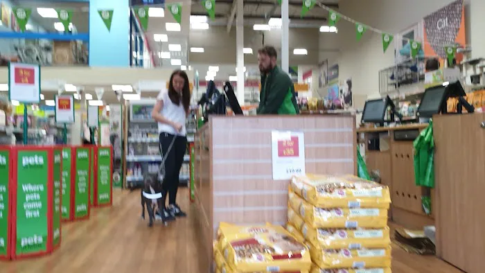 Pets at Home Lancaster Picture 10