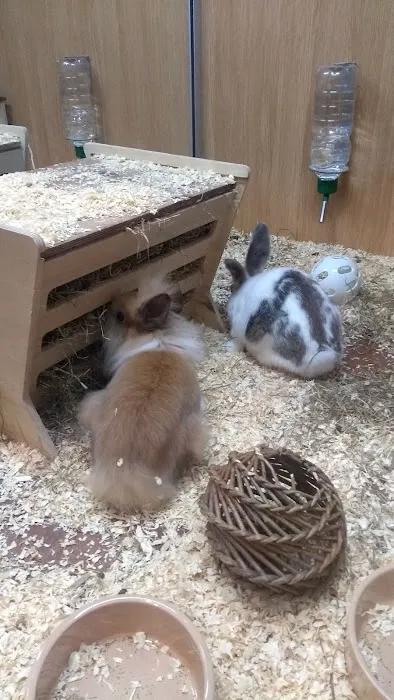 Pets at Home Lancaster Picture 8