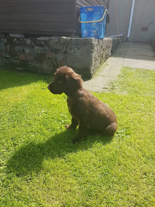 Carnforth Pet Care - Veterinary Centre Picture 10