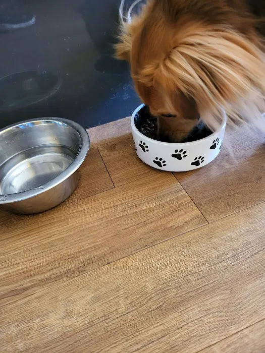 Hala Pet Stores Picture 6