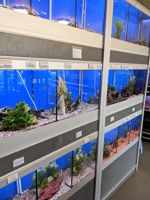 Hala Pet Stores Picture 2