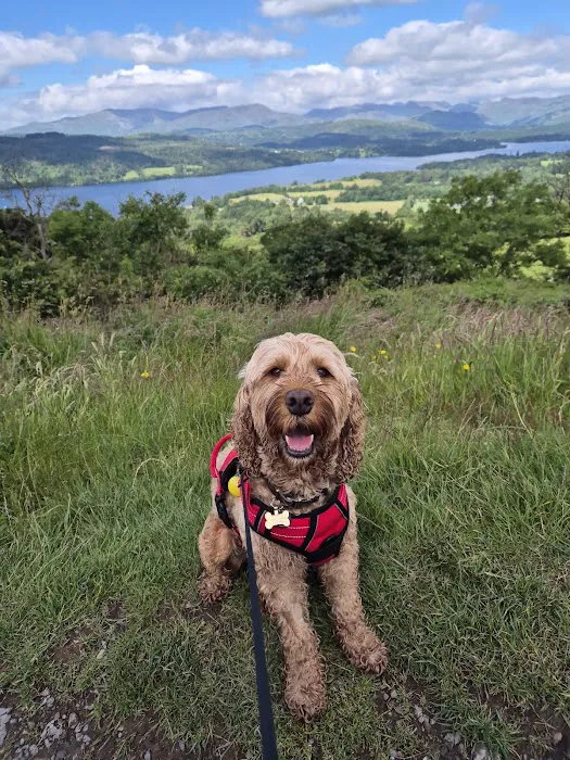 Hala Pet Stores Picture 5