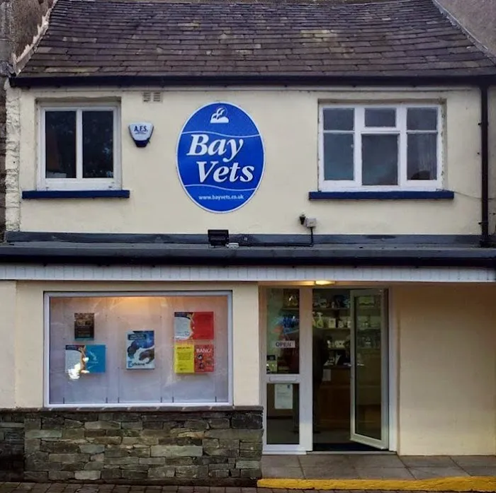 Bay Vets Milnthorpe Picture 9
