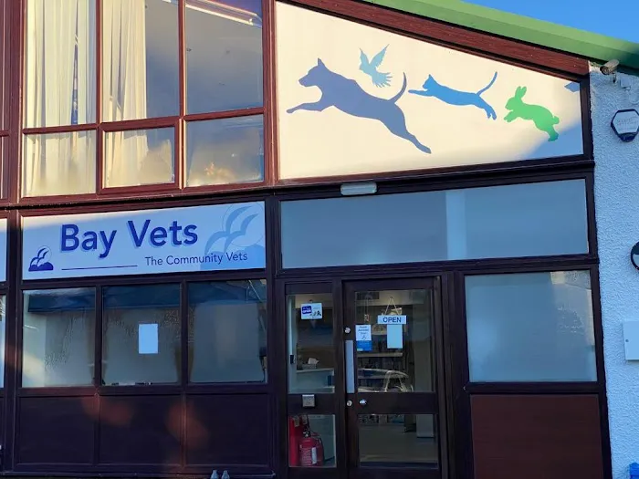 Bay Vets Milnthorpe Picture 10