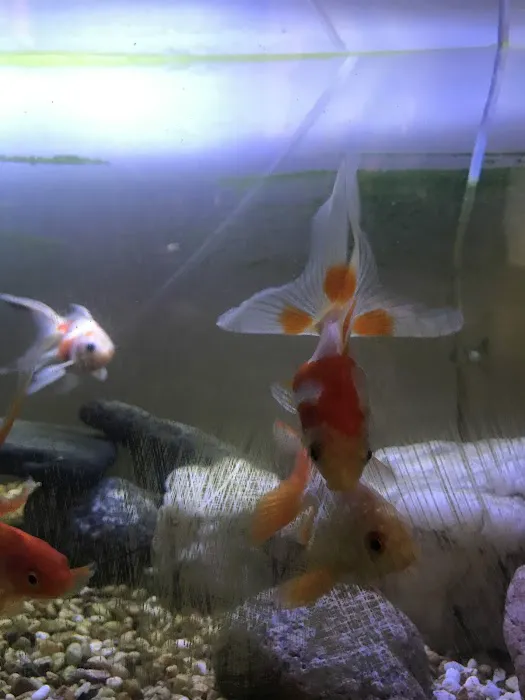 Little Beasties Picture 1