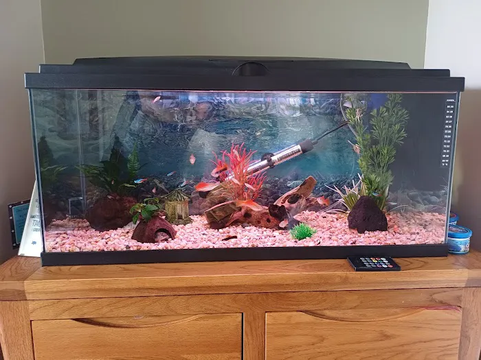 Little Beasties Picture 7