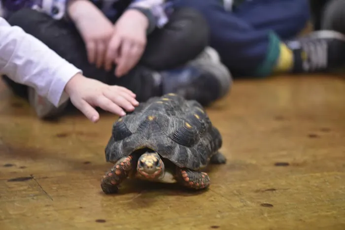 Little Beasties Picture 5