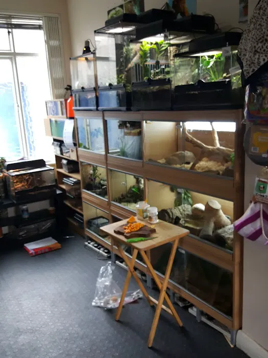 Little Beasties Picture 4