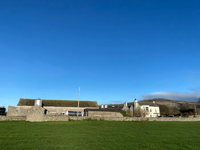 The Cattery @ Cotestones Farm Picture 6