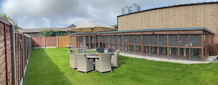 The Cattery @ Cotestones Farm Picture 8