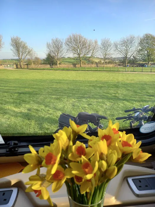 The Cattery @ Cotestones Farm Picture 7