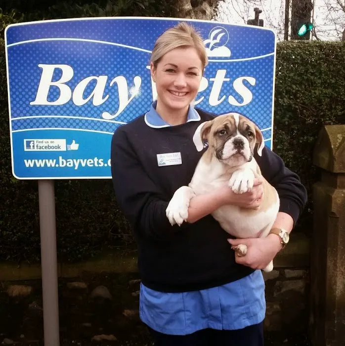 Bay Vets Morecambe Picture 2