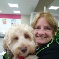 Vets4Pets - Lancaster ico