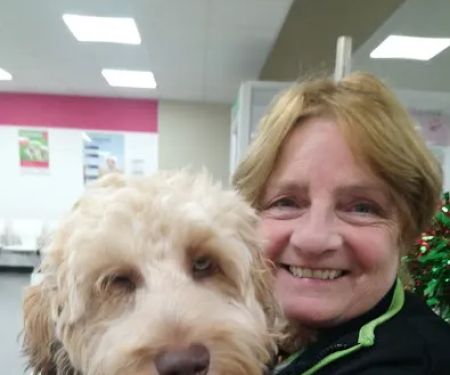 Vets4Pets - Lancaster