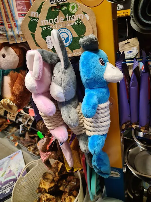 The Pet Shop Picture 1