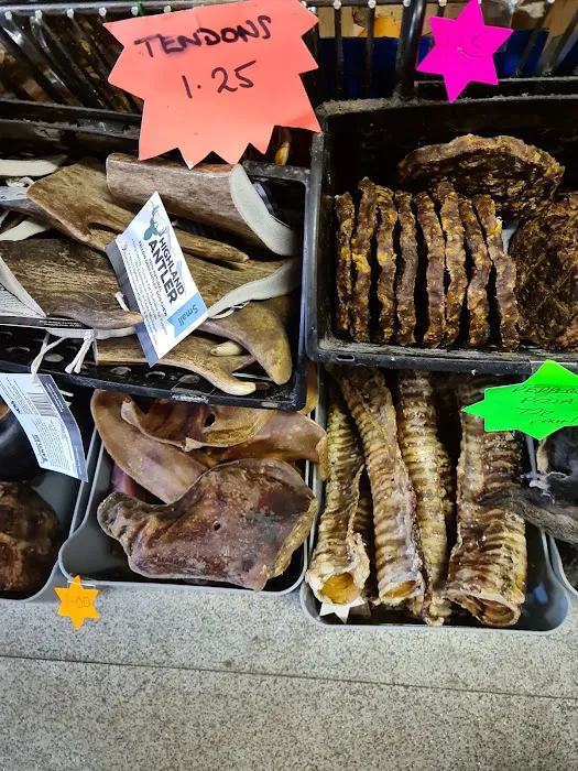 The Pet Shop Picture 8