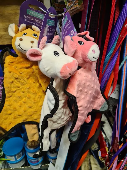 The Pet Shop Picture 7