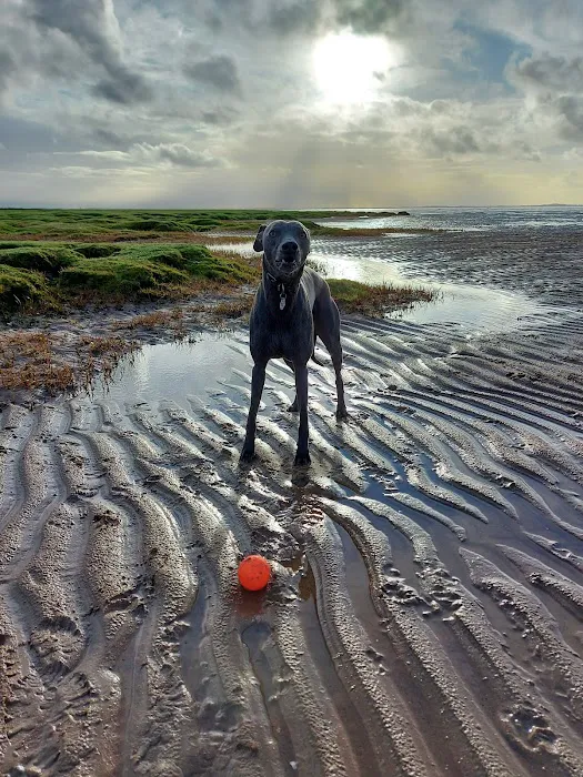 Lanes Vets Picture 7