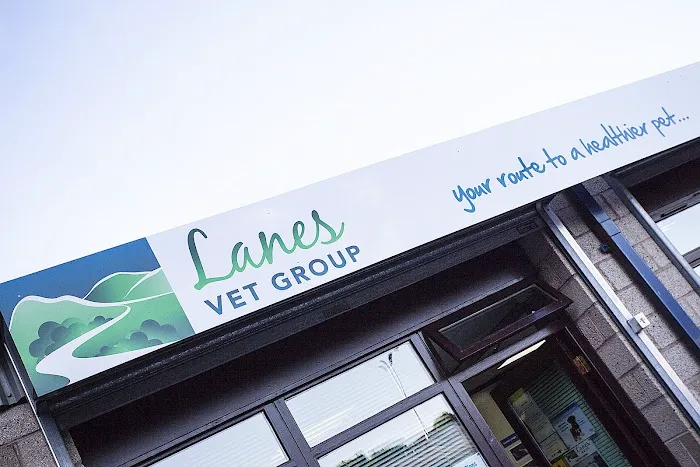 Lanes Vets Picture 1