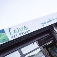 Lanes Vets ico