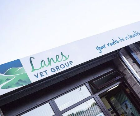 Lanes Vets