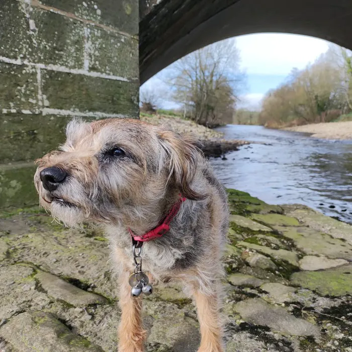 Lanes Vets Picture 6