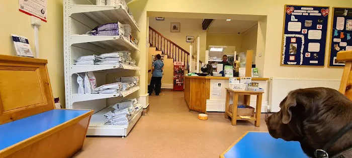 Bay Vets Picture 1