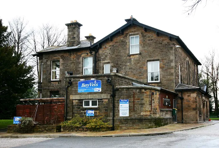 Bay Vets Picture 5