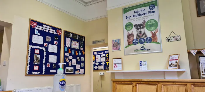 Bay Vets Picture 4
