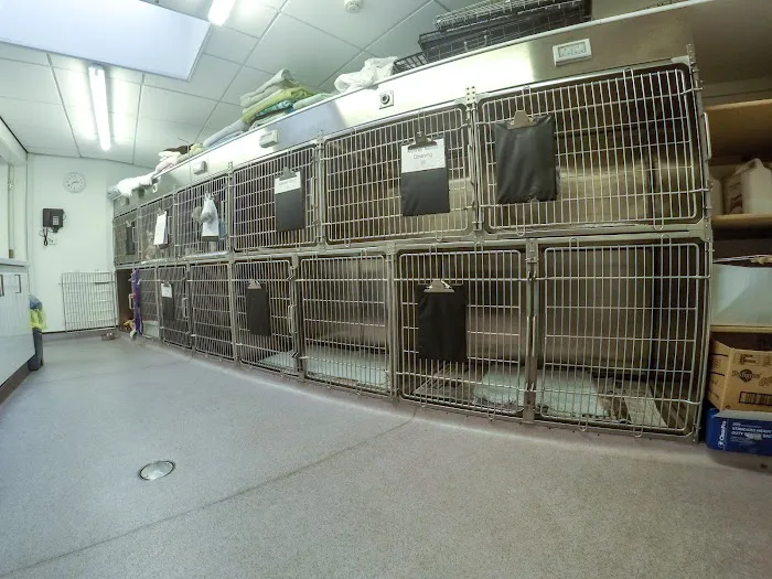Lancaster Vets Picture 8