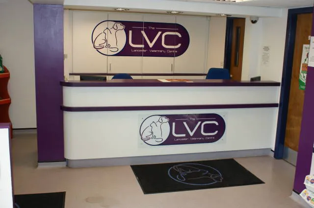 Lancaster Vets Picture 3