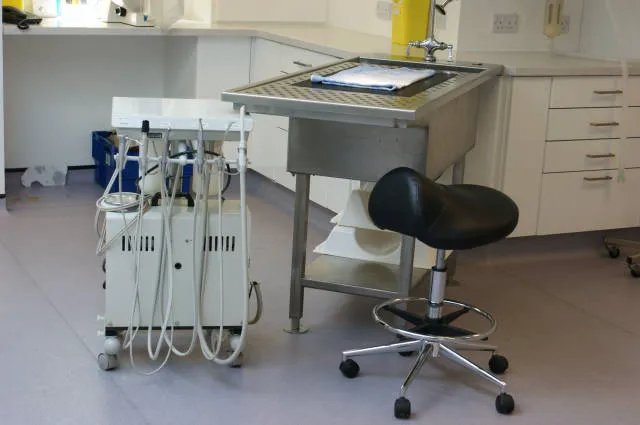 Lancaster Vets Picture 6