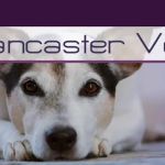 Lancaster Vets